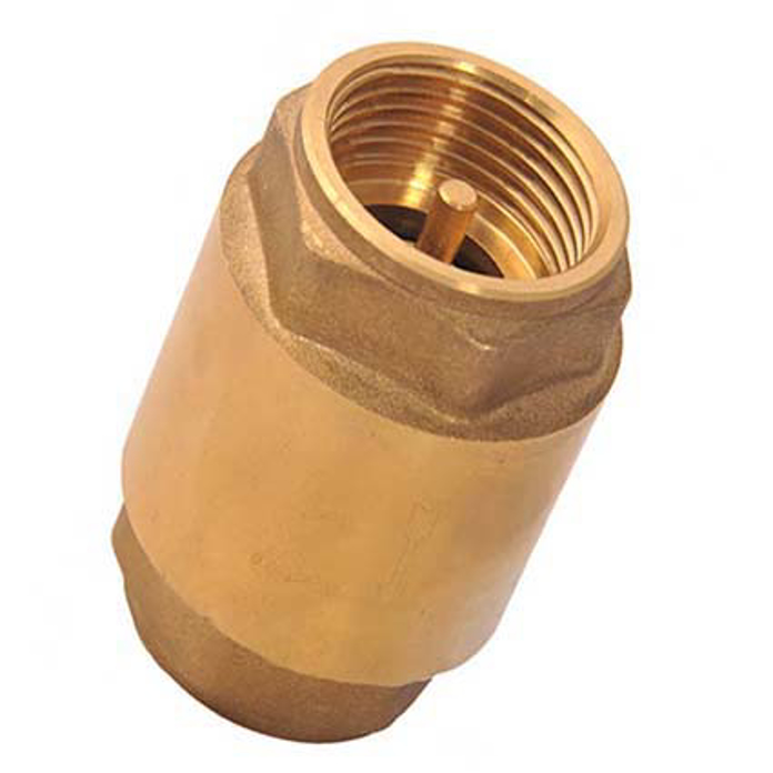 Slika Vertikalni nepovratni ventil 2  EVROPA